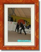 067 * 24.05.2007 * 427 x 640 * (30KB)